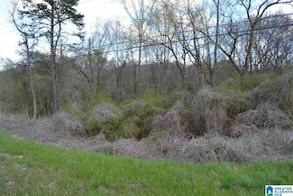 7049 Highway 75 Unit 1, Pinson, AL 35126