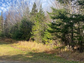 Lot 16 Bear Track Ln, Tomhegan Township, ME 04478