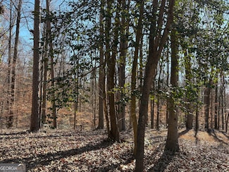 0 Lewis Dr Unit 10650541, Lavonia, GA 30553