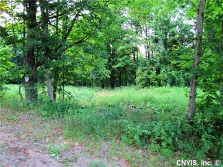 Lot 2 N Side Abbey Rd, Greig, NY 13345