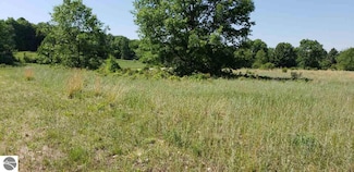 Lot 35 Alden Meadows Unit 35, Alden, MI 49612