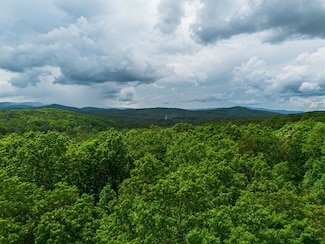 Tract 2 Century Ln, Blue Ridge, GA 30513