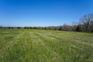 433 Morisset Dr Unit Lot 8, Sparta, MO 65753