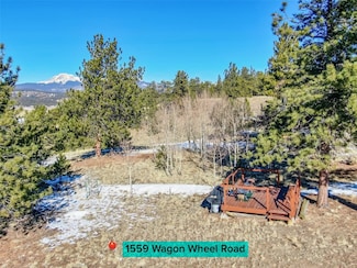 1559 Wagon Wheel Rd, Hartsel, CO 80449