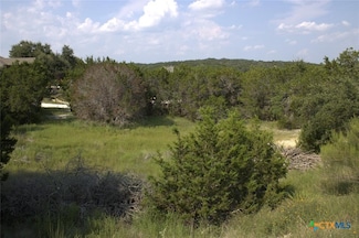 TBD William Travis, Canyon Lake, TX 78623