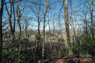 TBD Three Mile Knob Rd Unit L2, Pisgah Forest, NC 28768