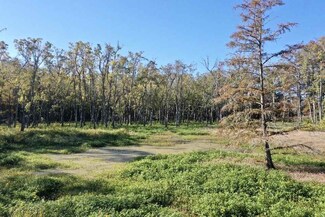1 Cr 549 Minter City, Schlater, MS 38952