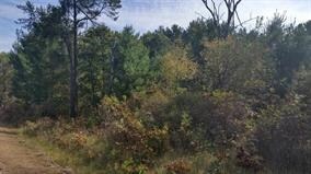 4 AC Hwy 21, Necedah, WI 54646