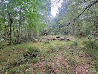 900 930 E Wilson Way, Grapeview, WA 98546