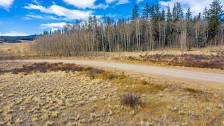825 Gitche Goone Ln, Como, CO 80456