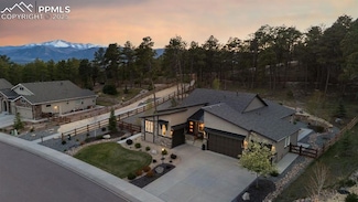 16244 Thunder Cat Way, Colorado Springs, CO 80921