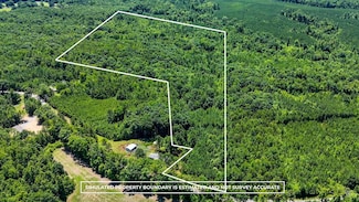 1486 Twin Peaks Rd, Chase City, VA 23924