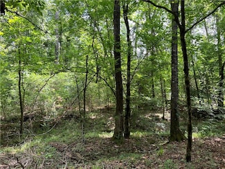 0 Shelton Dr, Ball, LA 71405