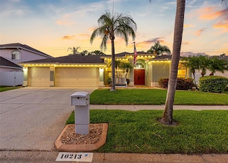 10213 Lockwood Pines Ln, Tampa, FL 33635