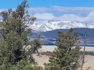 1333 Middle Fork Vista, Fairplay, CO 80440