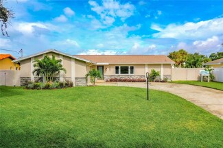 1067 42nd Ave NE, Saint Petersburg, FL 33703
