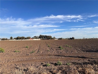 0 N Fm 493 Rd Unit 461602, Donna, TX 78537