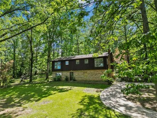 3201 Larry Noland Rd, Cottondale, AL 35453