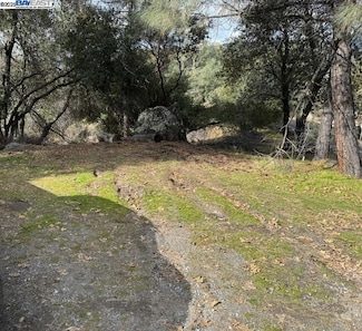 21201 Crystal Falls Dr, Mono Vista, CA 95370