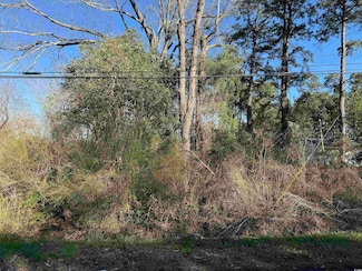 TBD N Farr Ave, Andrews, SC 29510