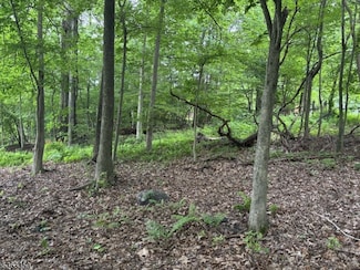 0 Oakwood Ave, West Milford, NJ 07480