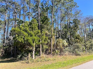 179 Ullian Trail, Palm Coast, FL 32164
