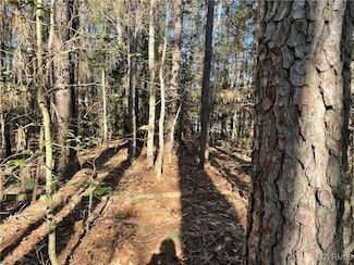 00 Locust St, Bracey, VA 23919