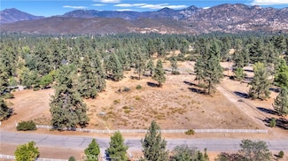 59990 Hop Patch Spring Rd, Mountain Center, CA 92561
