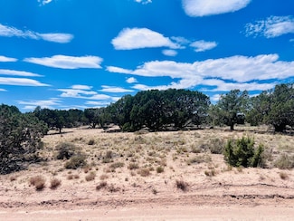 LOTS 3 & 4 Blk Bx Cedar Valley Acres, Cedar City, UT 84721