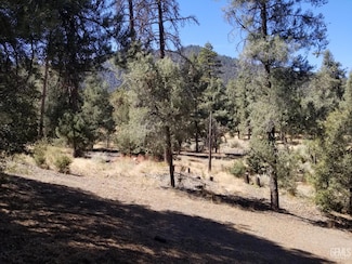 1912 Ironwood Dr, Pine Mountain Club, CA 93252
