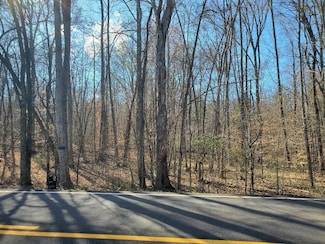 Lot 17 Tennessee 304, Decatur, TN 37322