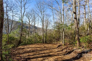 Lot 81 Shangri Ln Unit 81, Qualla, NC 28719