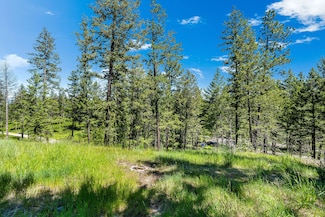 394 Windsor Ct, Bigfork, MT 59911