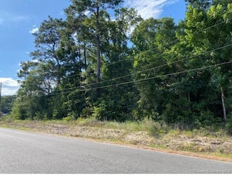 0 Ravenhurst Dr, Moss Bluff, LA 70611