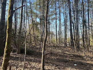 0 County Road 135 Unit 25498670, Stevenson, AL 35772