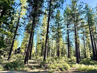 12337 Garwood Dean, Truckee, CA 96161