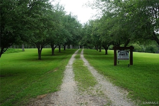7450 Highway 82, Fitzpatrick, AL 36089