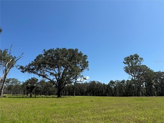 DO #7 (10ac) NW 193rd St, Micanopy, FL 32667