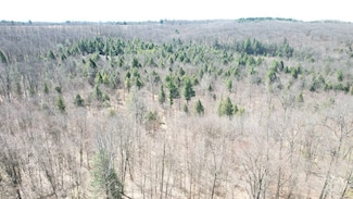 0 Allport Cutoff Rd Lot#wp001, Morrisdale, PA 16858