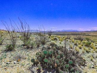 21274 Feldspar St, Terlingua, TX 79852