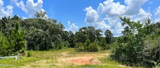 0 U S 49, Wiggins, MS 39577