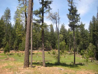 0000 1 03 Acres, Trinity Center, CA 96091