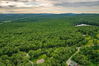 351 White Roe Lake Rd, Livingston Manor, NY 12758