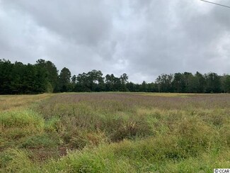 TBD Swamp Fox Hwy, Tabor City, NC 28463