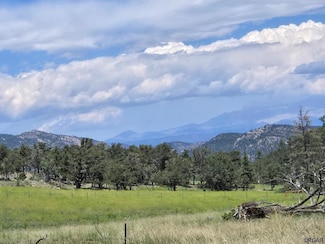 TBD 26th Trail, Cotopaxi, CO 81223