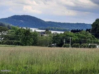 0 Blackwell Branch Rd, Rutledge, TN 37861