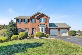 1409 Mill Iron Rd, Goodview, VA 24095