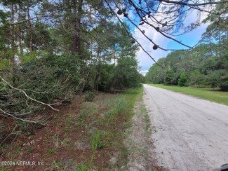221 Ponderosa Pine Ct, Georgetown, FL 32139
