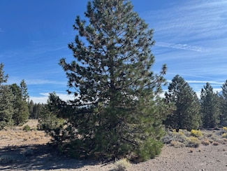 Unit 4 Lot 327 Indian Island Dr Unit 4, Lake Shastina, CA 96094
