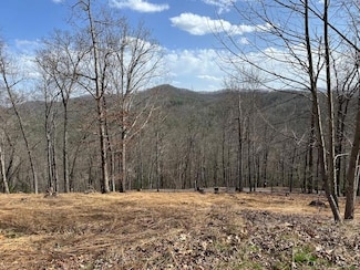 8 Thunder Rd, Hayesville, NC 28904